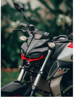 Acube Mart Combo of Yamaha MT15 Short Visor+ MT 15 Winglet Red