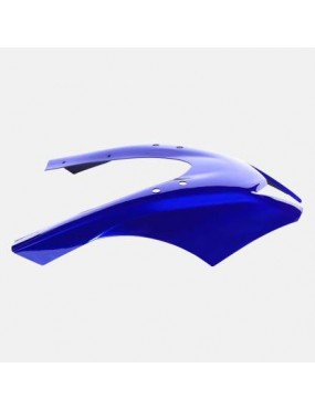 Acube Mart R15 v3 Razor mask R6 mask (blue)